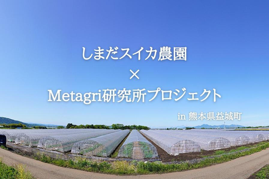 しまだスイカ農園×Metagri研究所 Top4